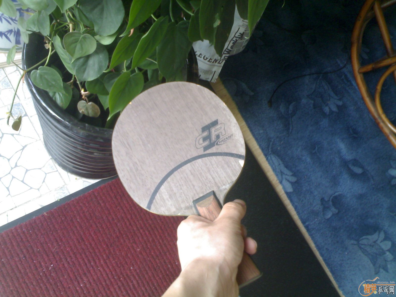 �������� �������ְ�OC-CR