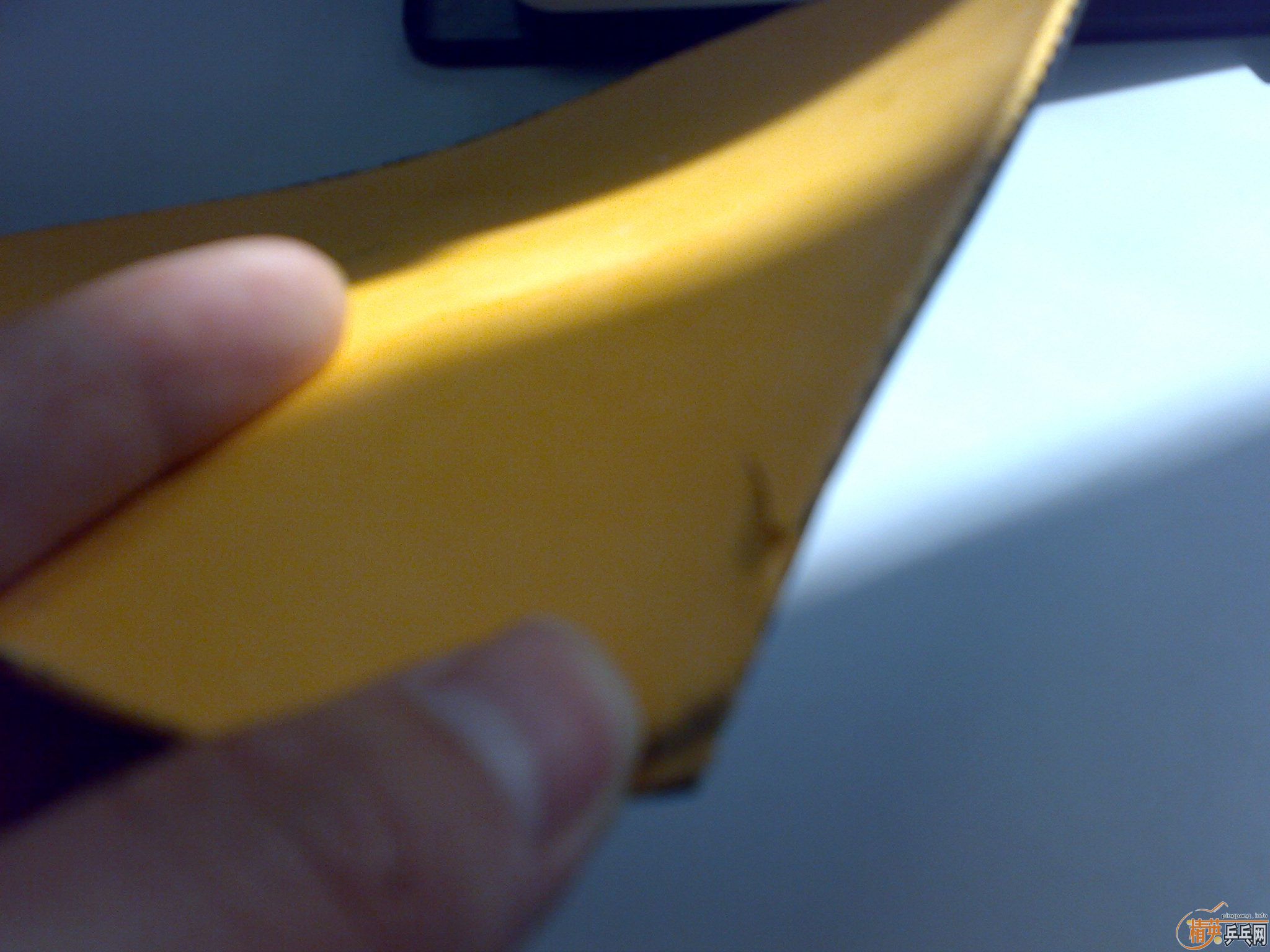 ��֧����������8��Sriver FX��ɫ��