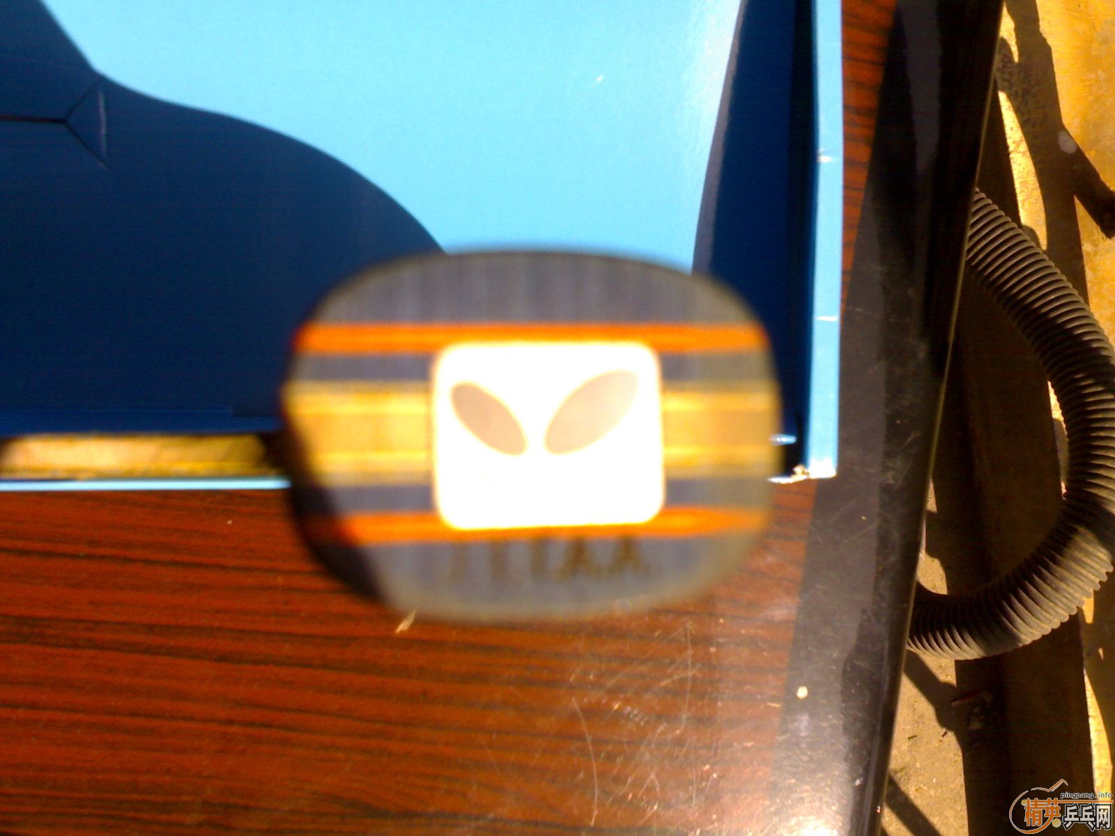 [ԭ��]��timo boll spirit-fl