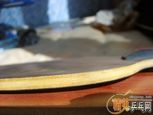 95��FL��anv wl 450�����