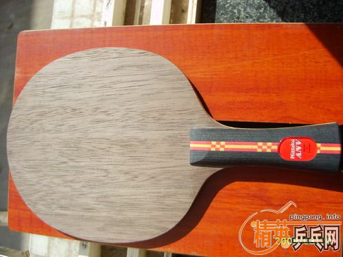 95��FL��anv wl 450�����