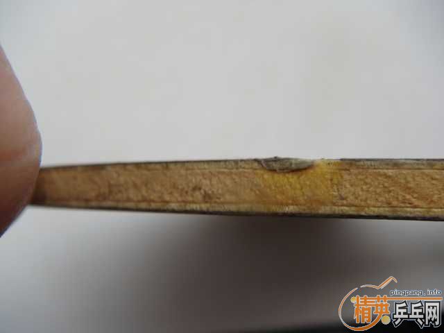 �ų���OC-CR-WEB