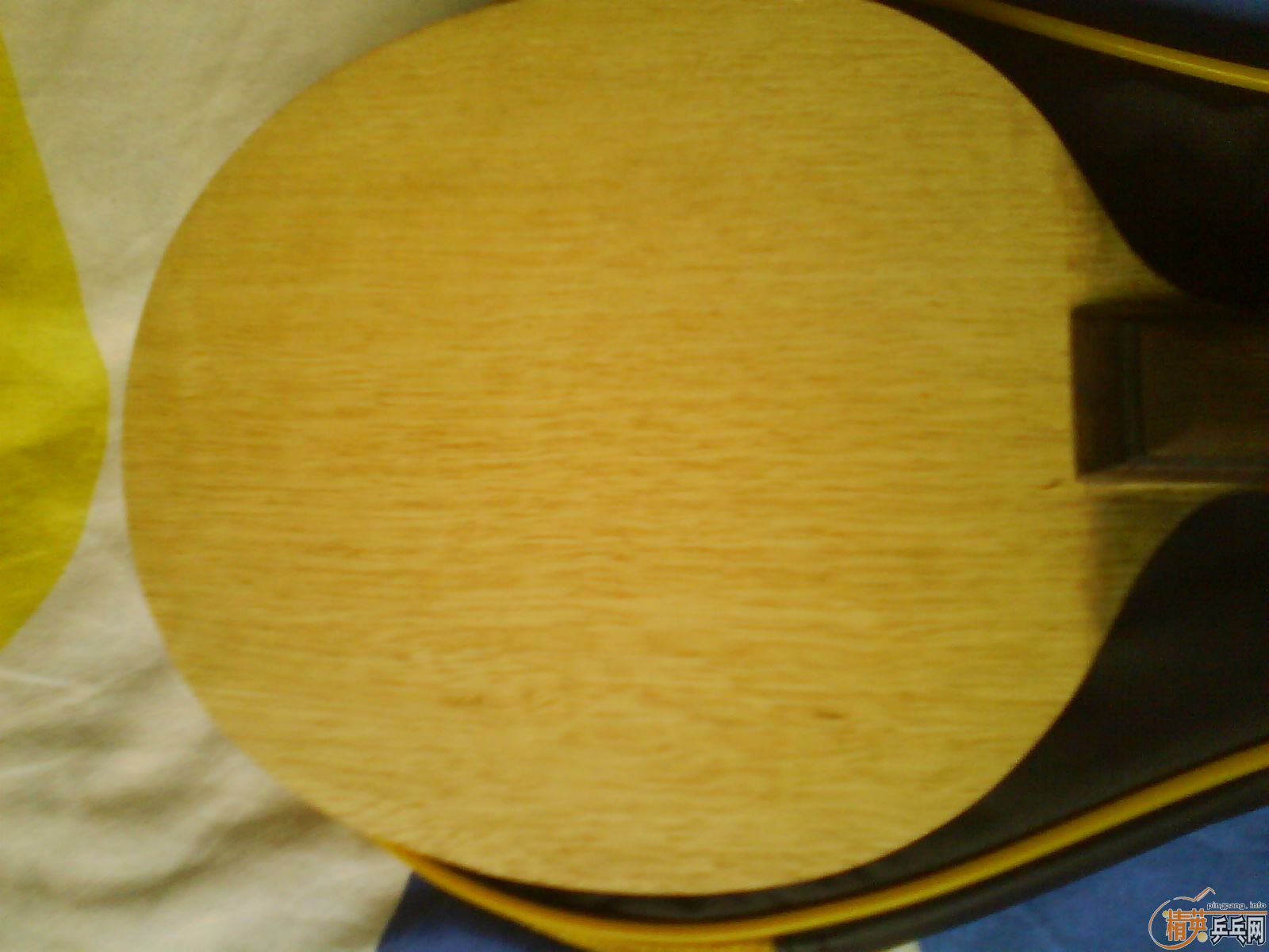 ��9����С��3רҵ��,����470