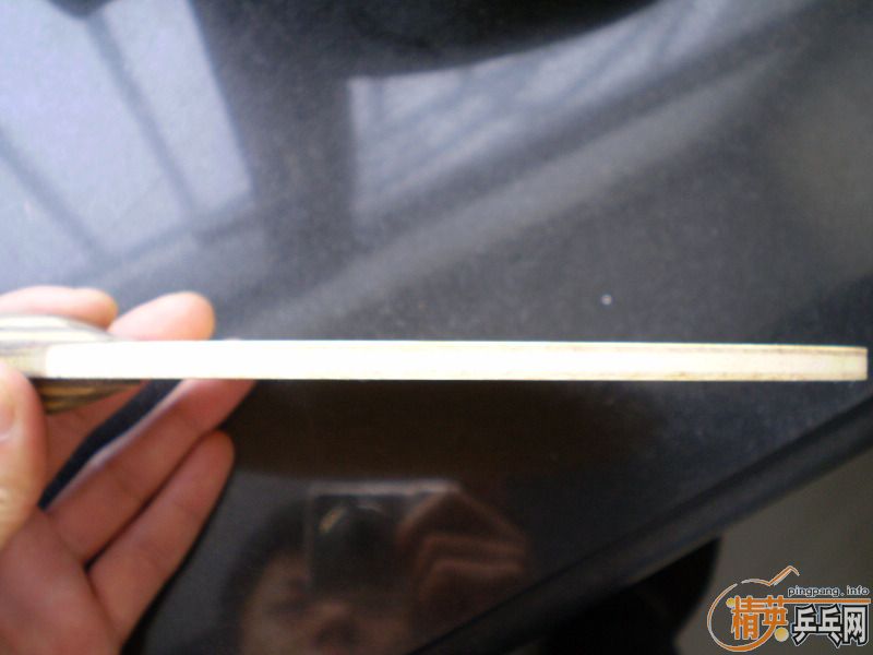 ST ���Ʊ��� 9.5����