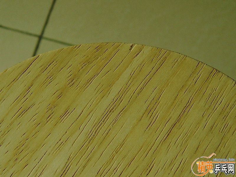 ���������ľ