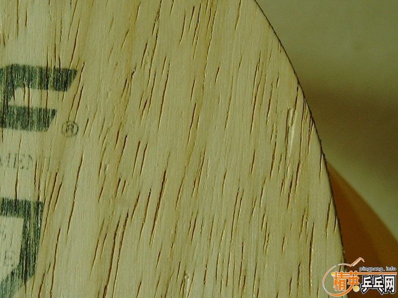 ���������ľ