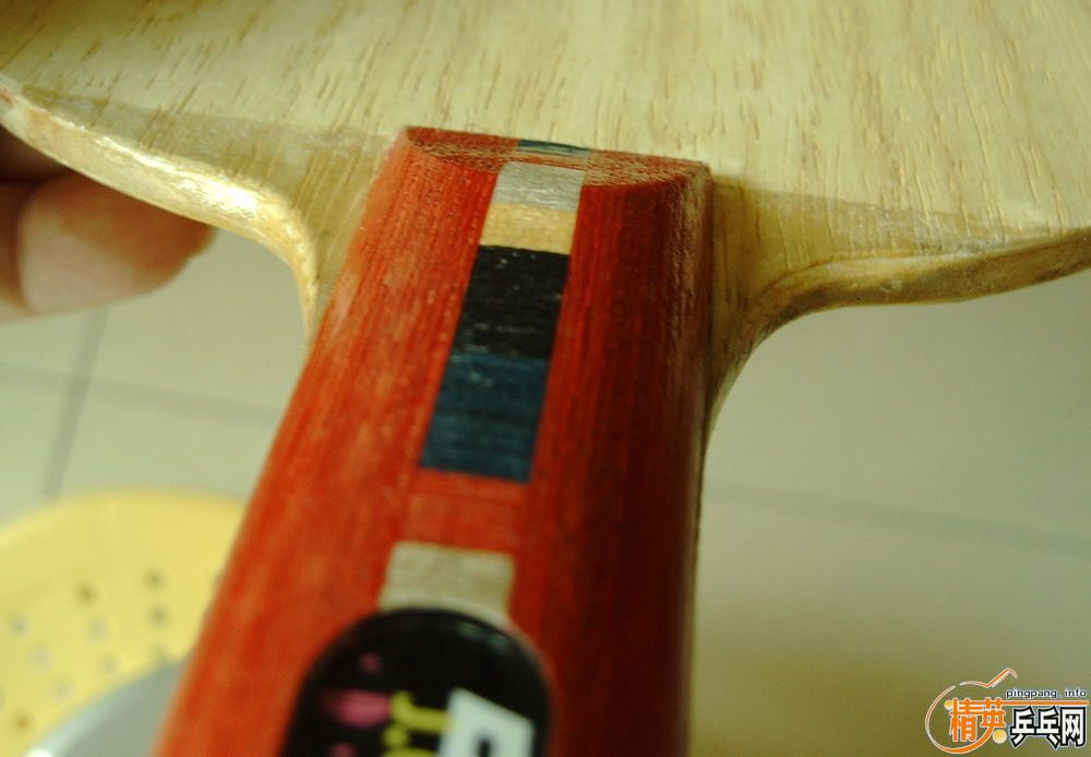 ���������ľ