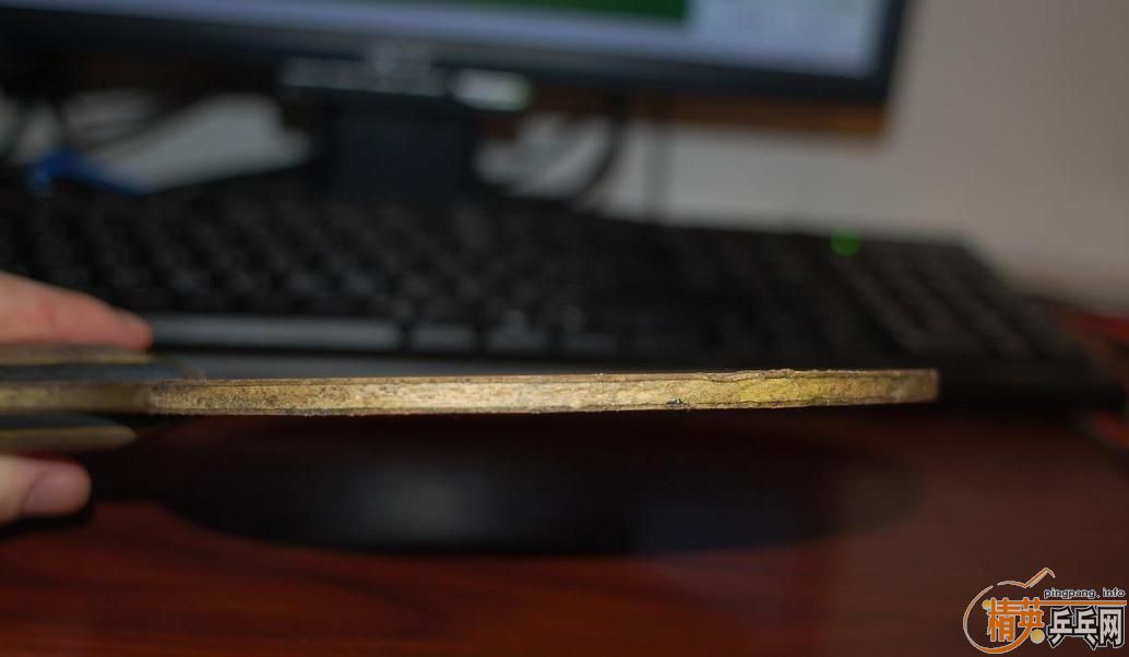 �Ϻ�����һ��YSC��FL����