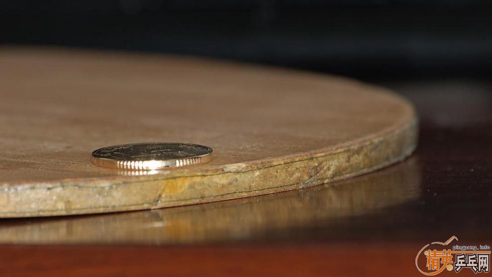 �Ϻ�����һ��YSC��FL����