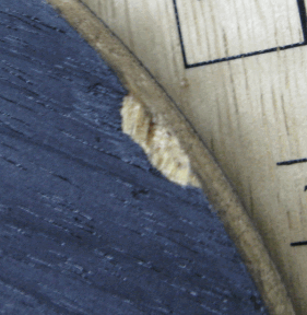 ����topspin X �װ� + crack sp +flextra  250����