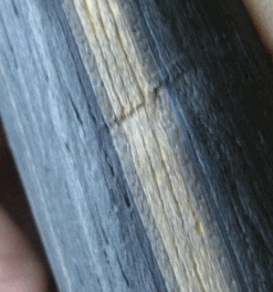 ����topspin X �װ� + crack sp +flextra  250����