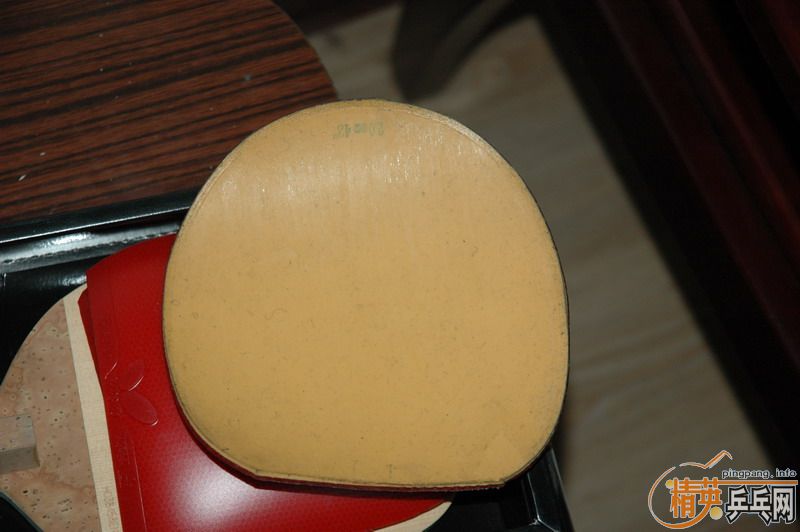 ˮ��st bryce cypress-max 729-08 �϶���T05 nodias ��3