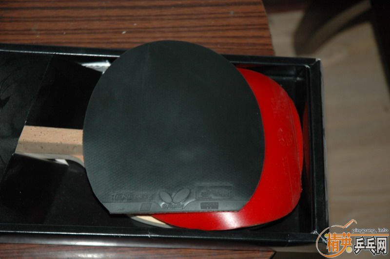 ˮ��st bryce cypress-max 729-08 �϶���T05 nodias ��3