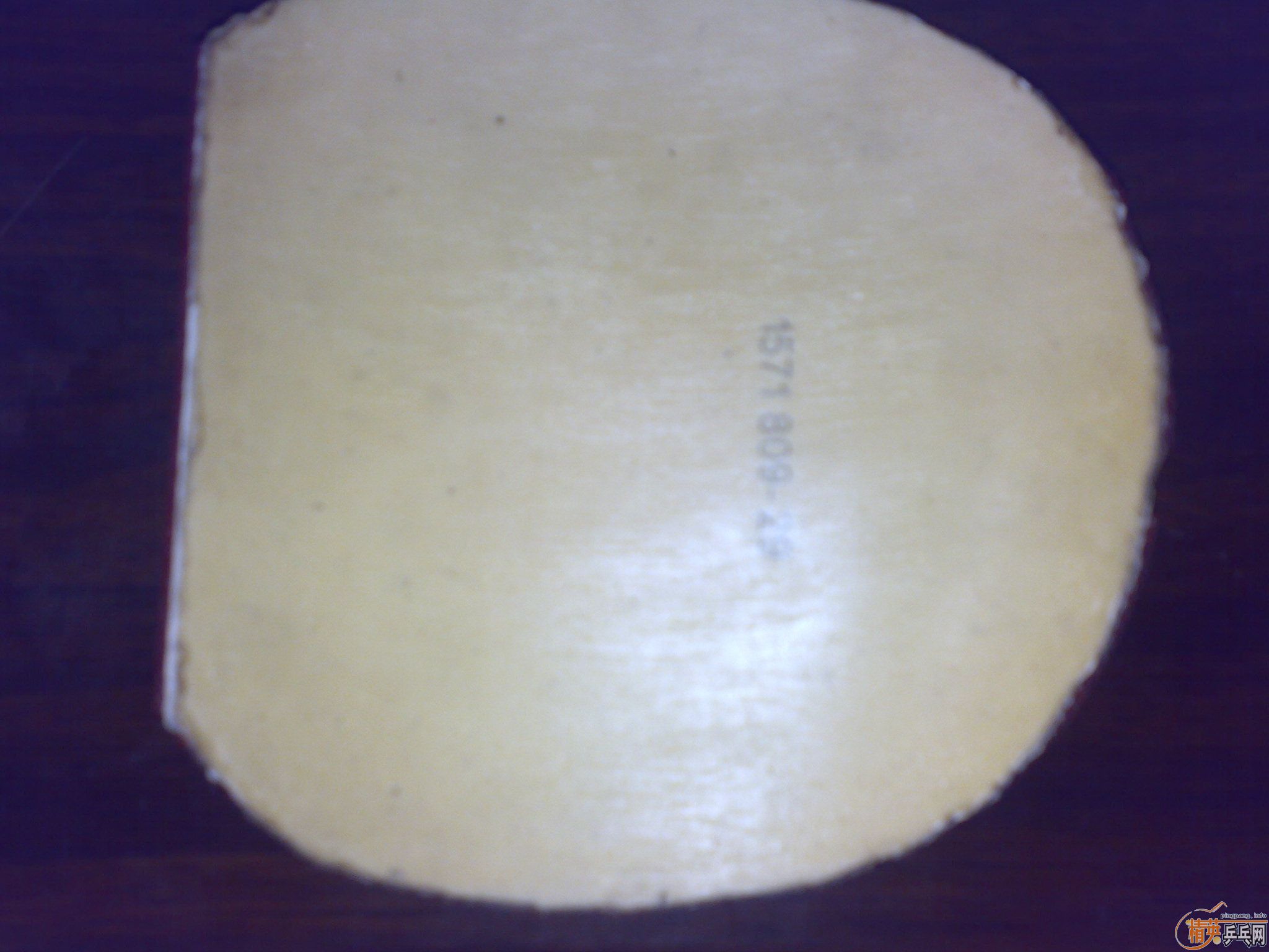 ��һ�հ�YO40��F1   ţ