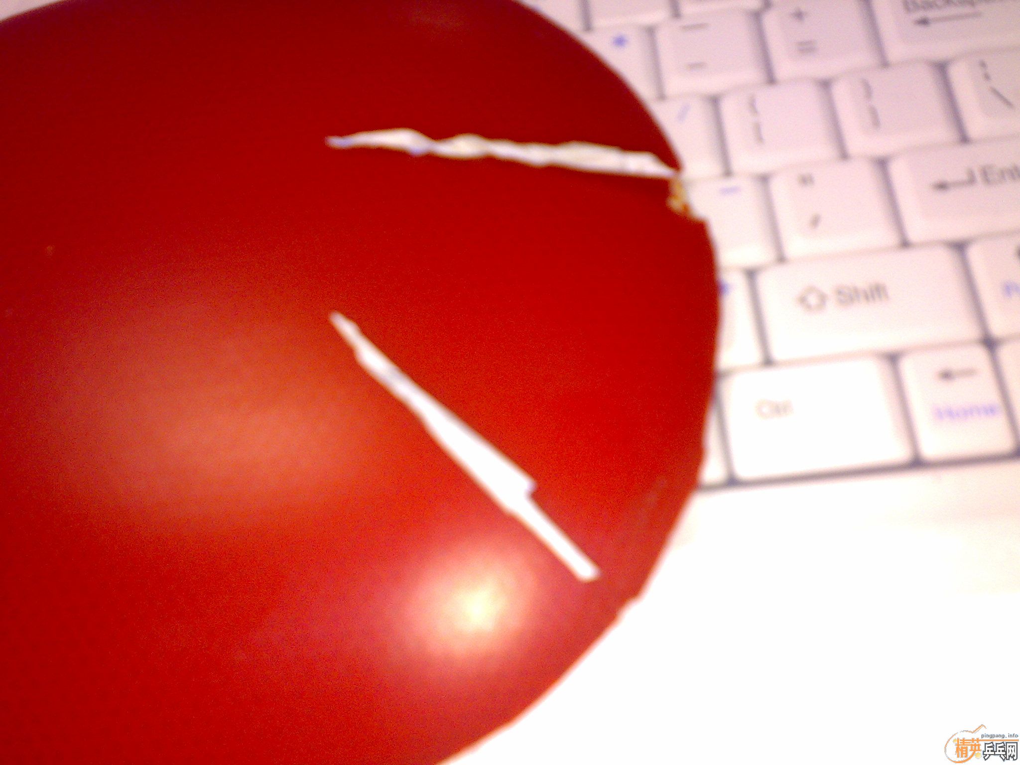 ��һ�հ�YO40��F1   ţ