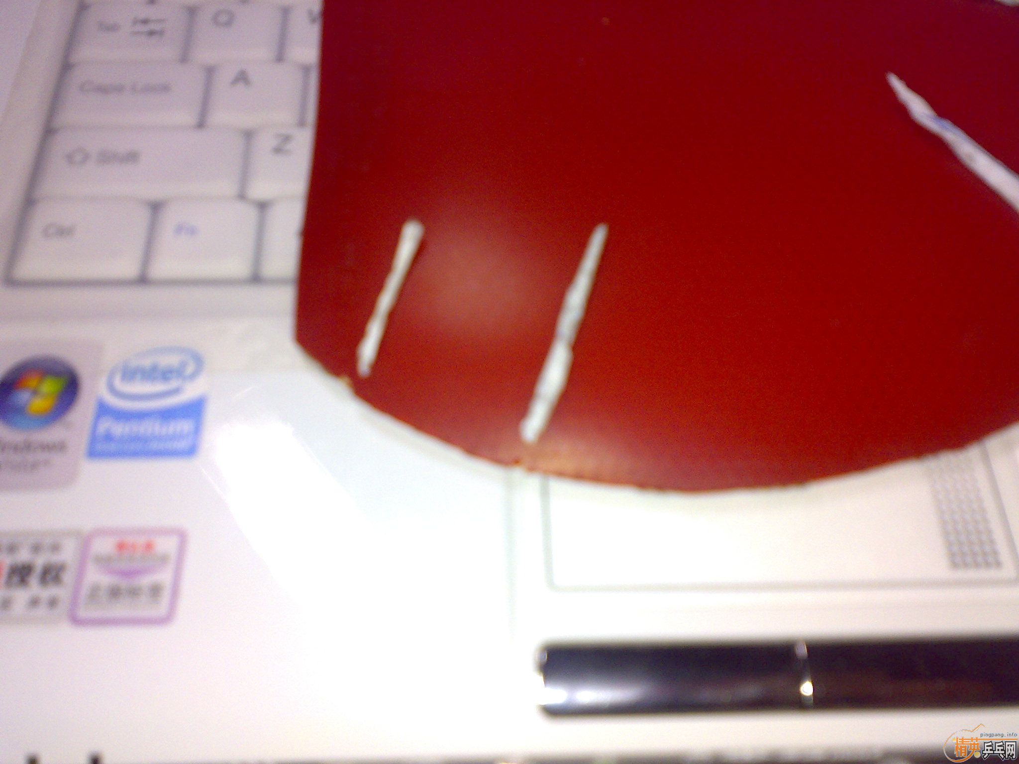 ��һ�հ�YO40��F1   ţ