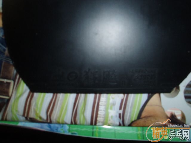 ��ʡ���һ���׽�