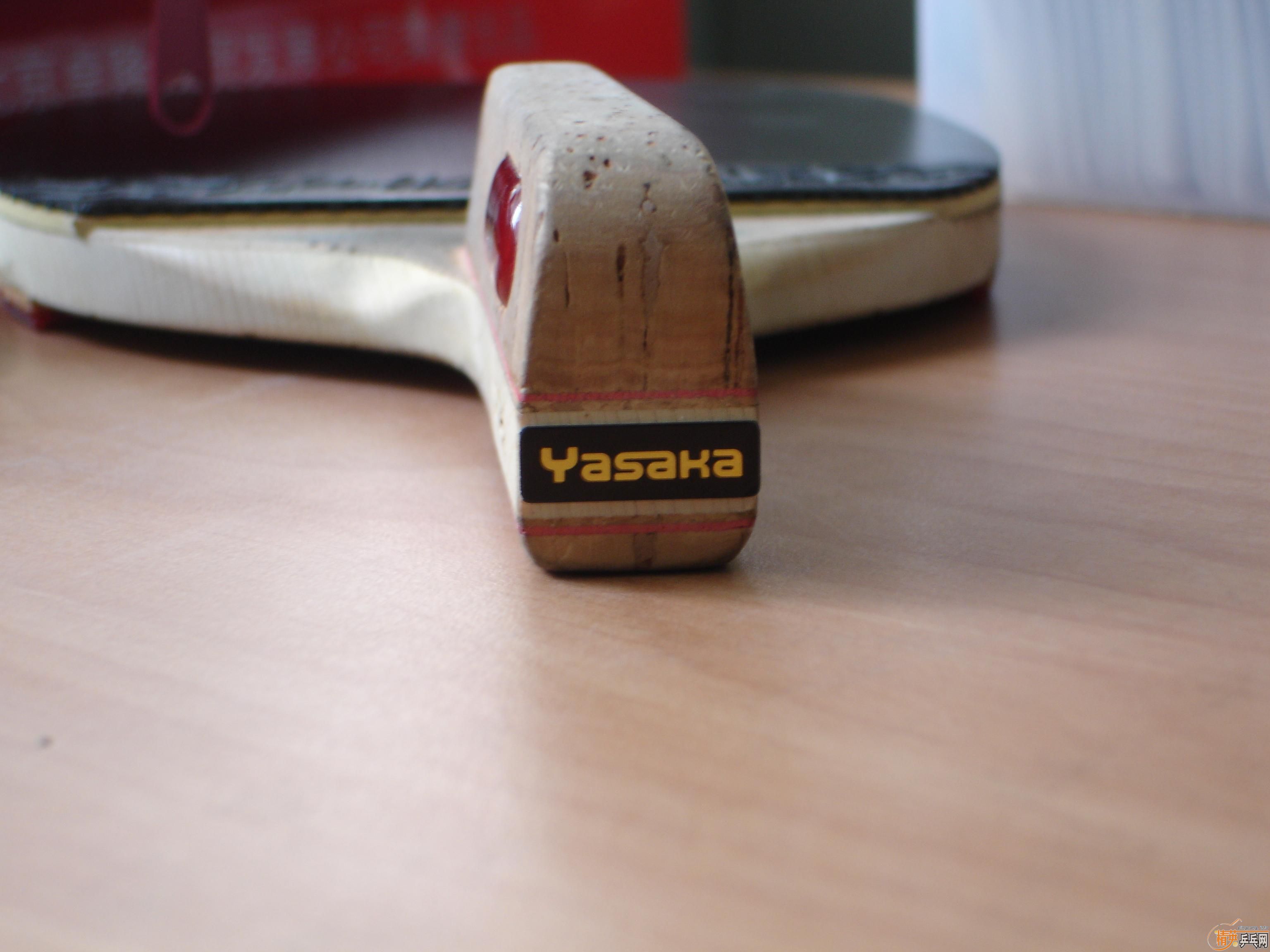 ֱҲֱYASAKA