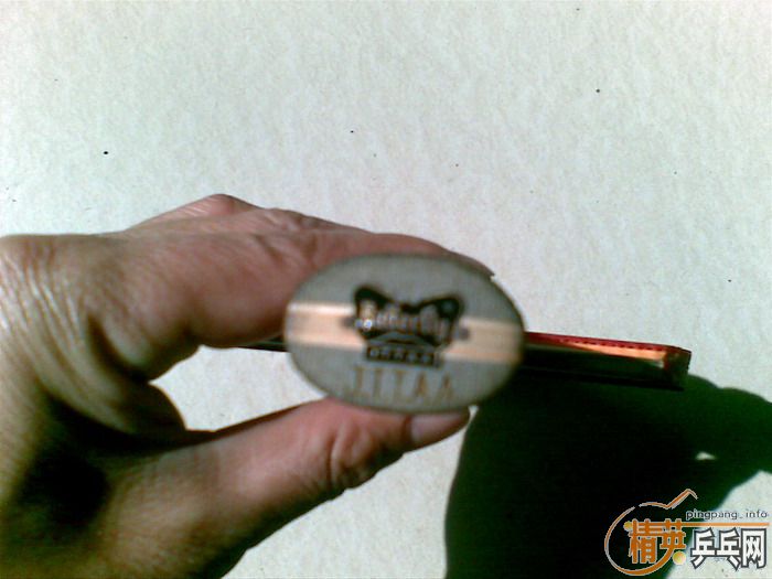 [ԭ��]��������ľ�װ�ӿ��2�׽���837����