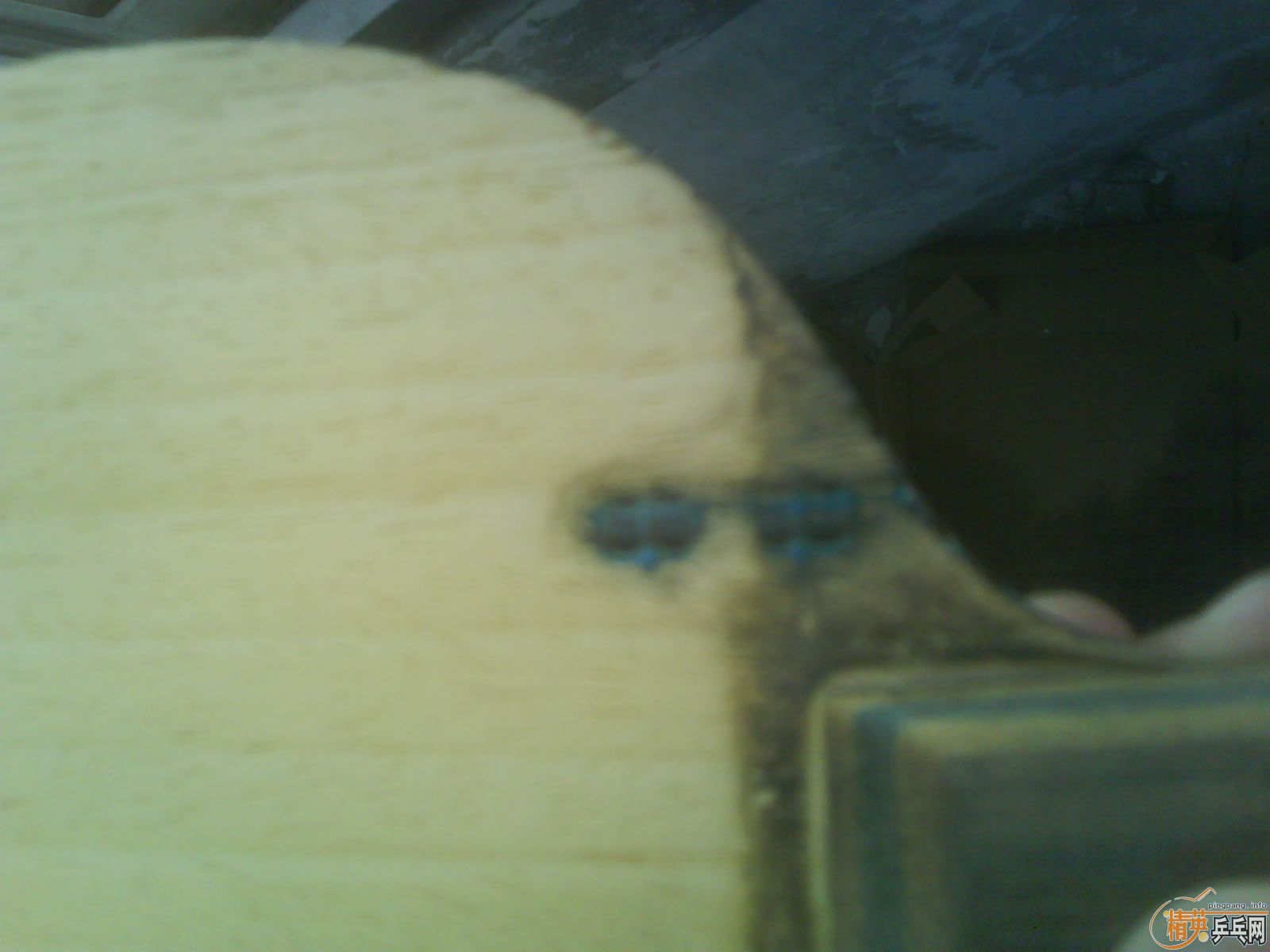 ���˳����� ������ �������� primo vitesse