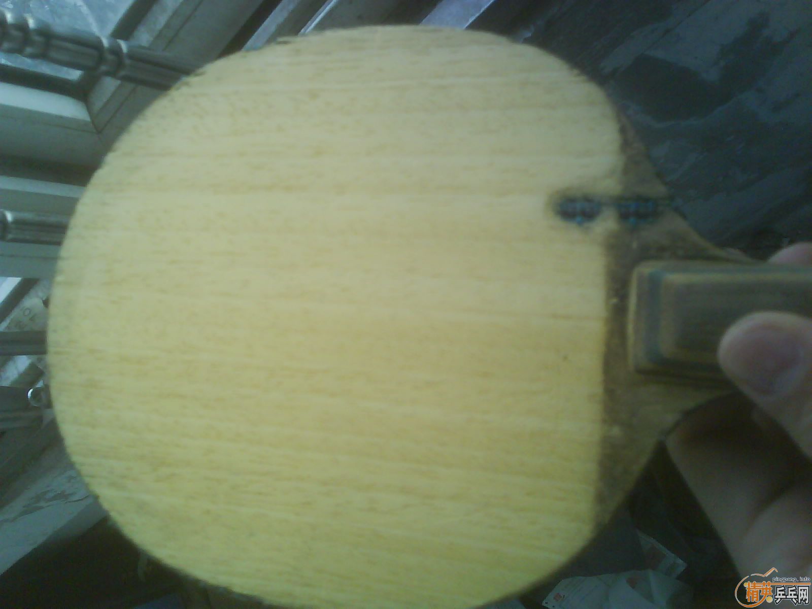 ���˳����� ������ �������� primo vitesse