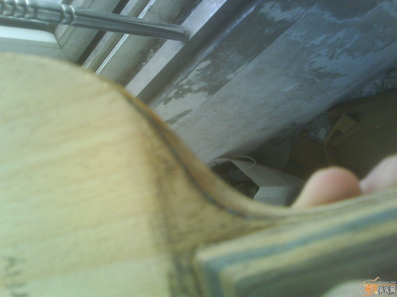 ���˳����� ������ �������� primo vitesse