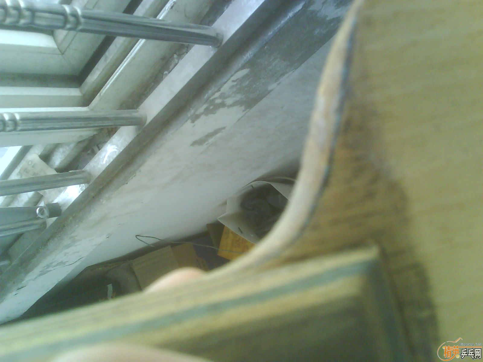 ���˳����� ������ �������� primo vitesse