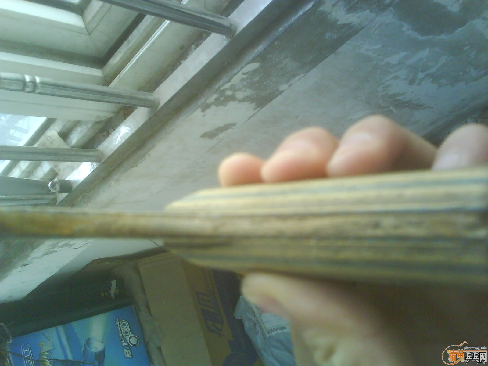 ���˳����� ������ �������� primo vitesse