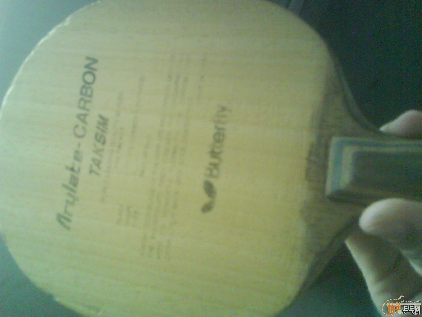 ���˳����� ������ �������� primo vitesse