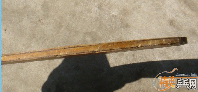 [ת��]��ת��ŷ�������