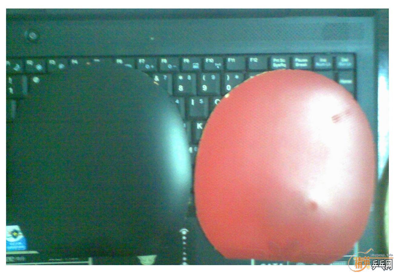 ������׽�