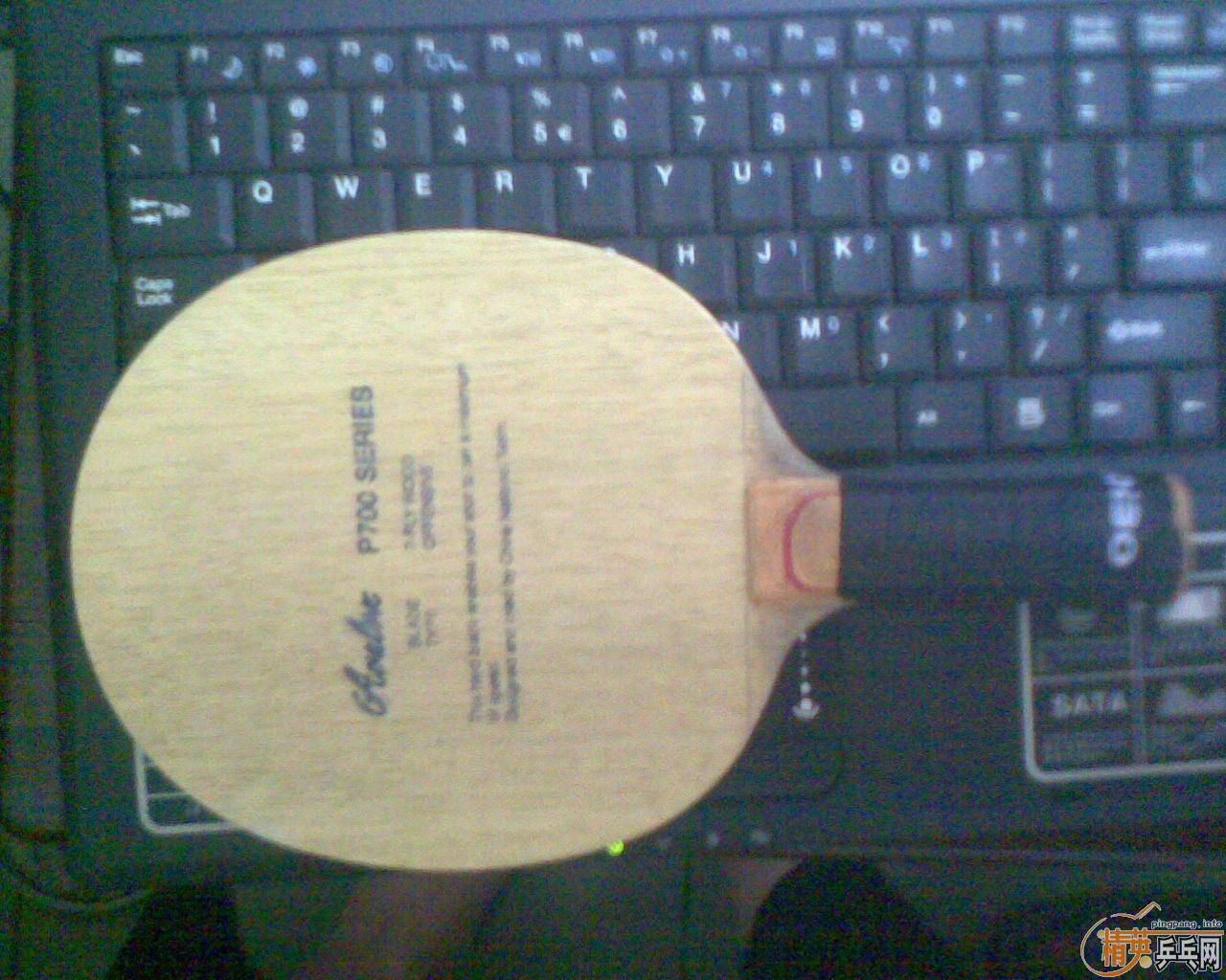 ������׽�