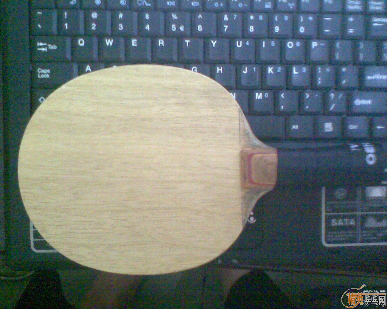 ������׽�