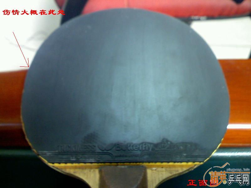 ���������ѳ�����רҵ�ӵ��Ϻ�˫ϲ016���