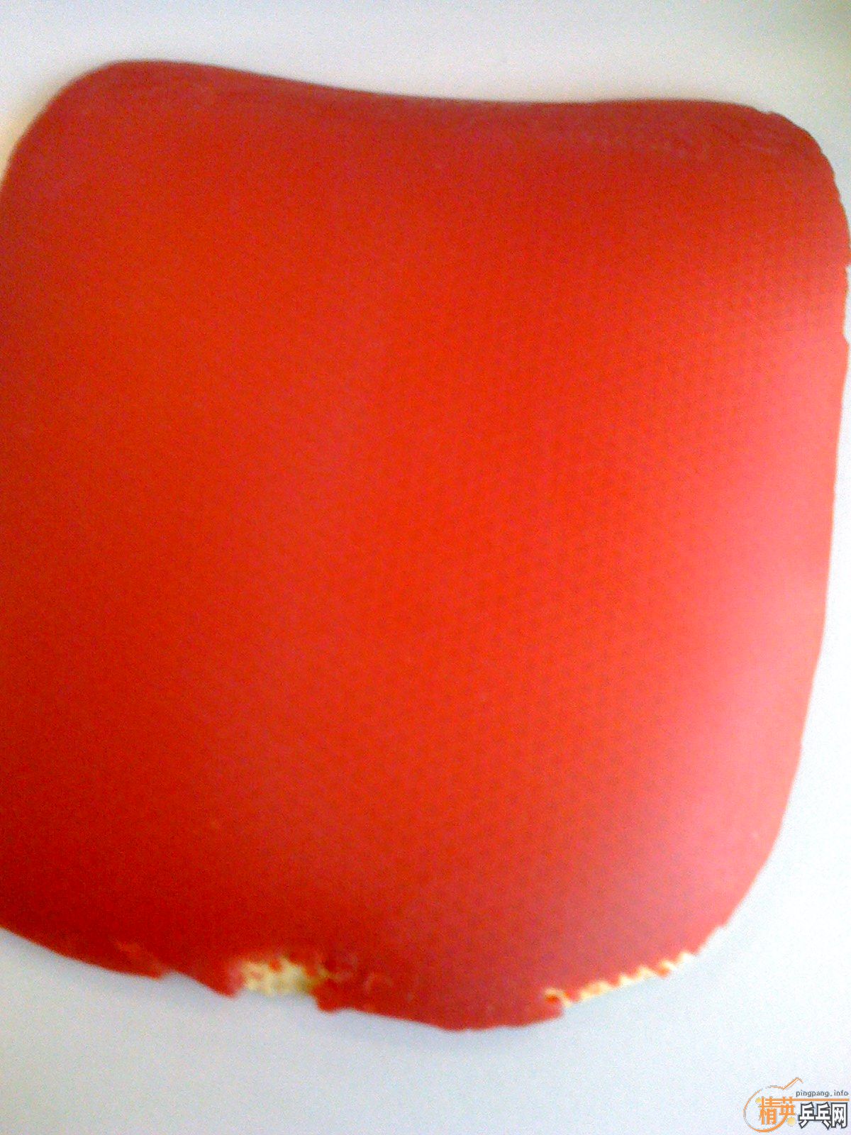 ����۳�M2000��G2 FX(��ֱ����)