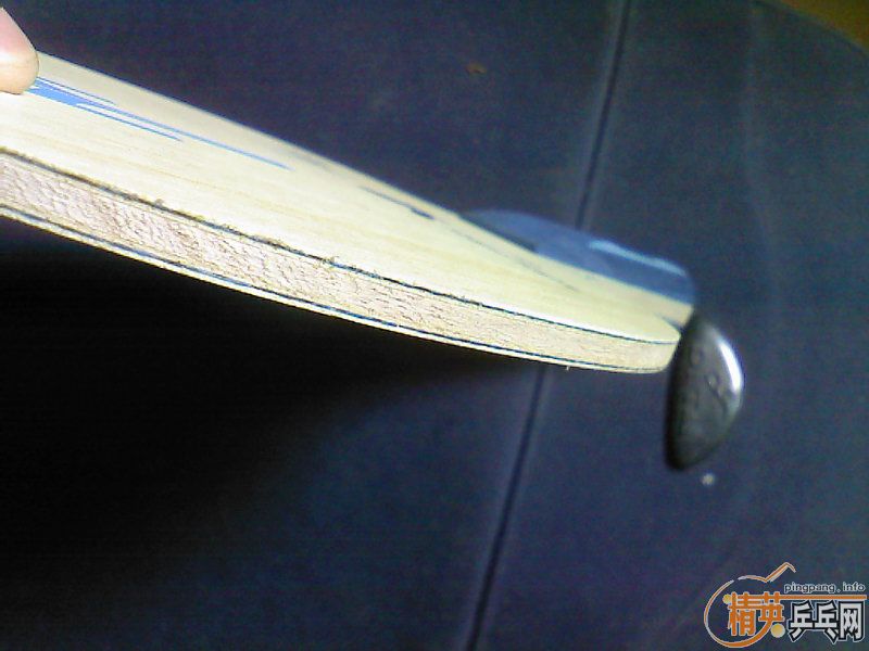 ���� alc boll ֻ����һ�� Ʒ���Լ��� ������ͼ