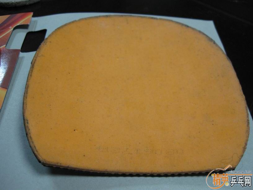 �����Ź���ճ��