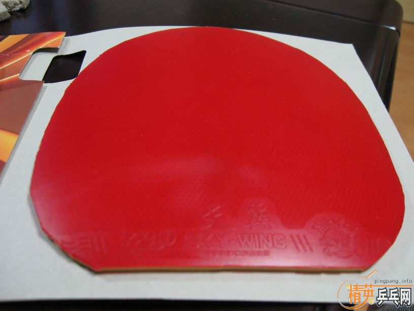 �����Ź���ճ��