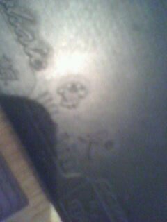 [ԭ��]��95��cl-cr�����Ѫ��������