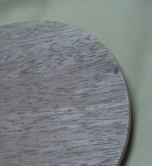 ����oc fl ~300������