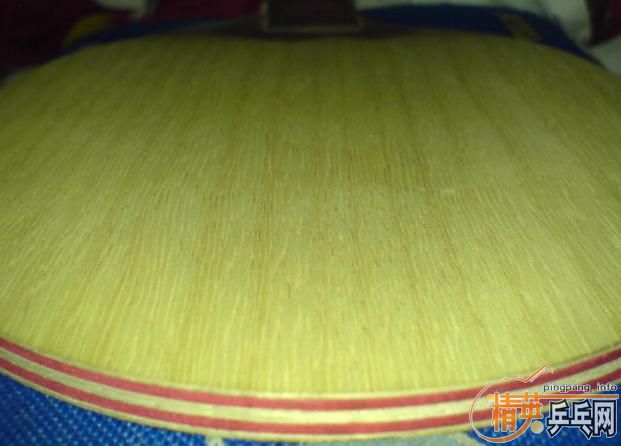 [�Ƽ�]  ���ѳ�95���л� CL