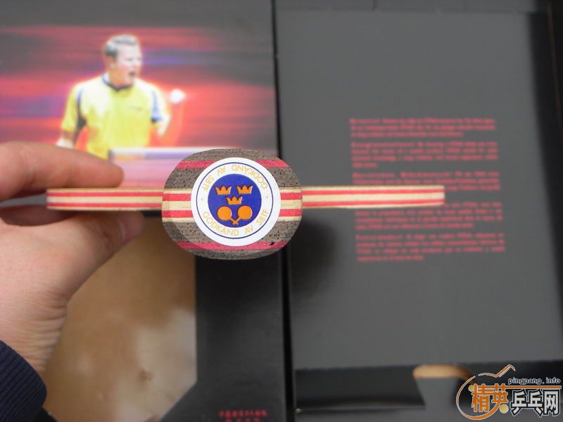 [ԭ��]ST/CL9999��300���������ͬ��ɫEG������EG��