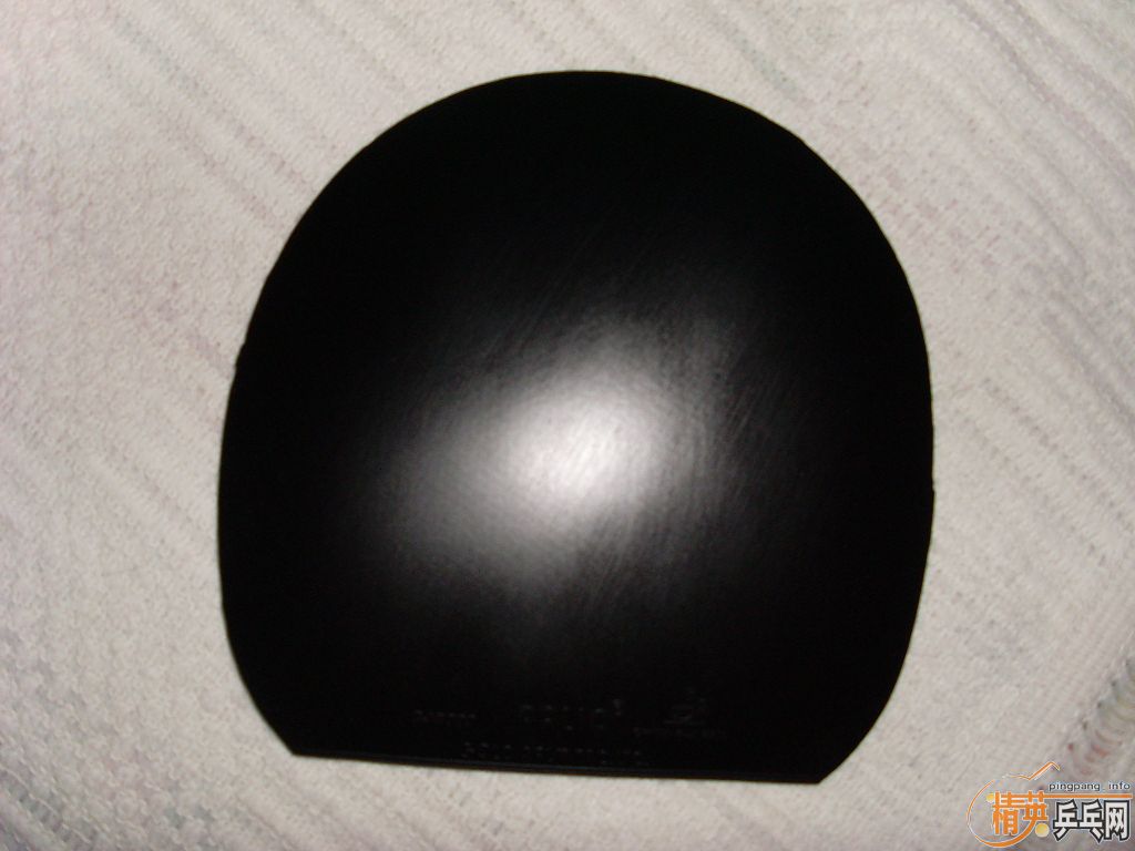 �Ʊ�����