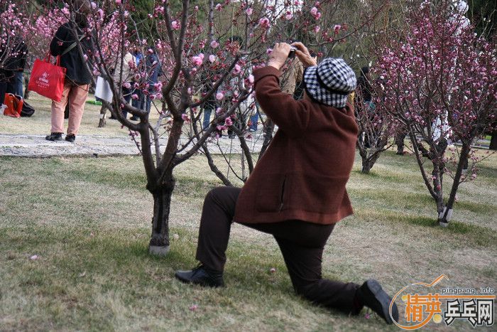 [��ͼ]�������۷�