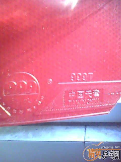 ���׽��ˣ�����Ȥ�Ľ�������