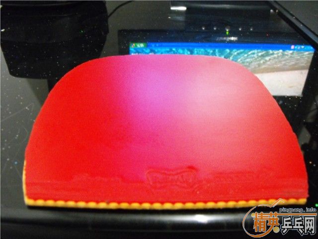 ����ֱ˹����L����ˡ�SP�׽����ײ˼۸�