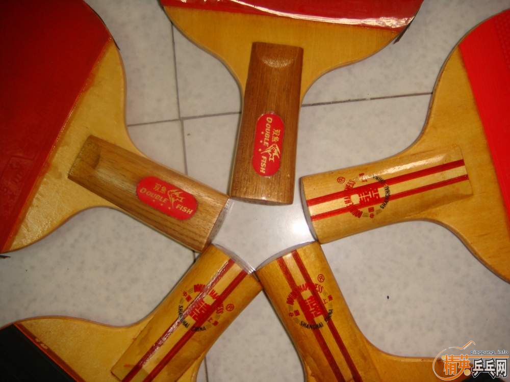 ����֧��˫ϲ����֧��˫�㣮