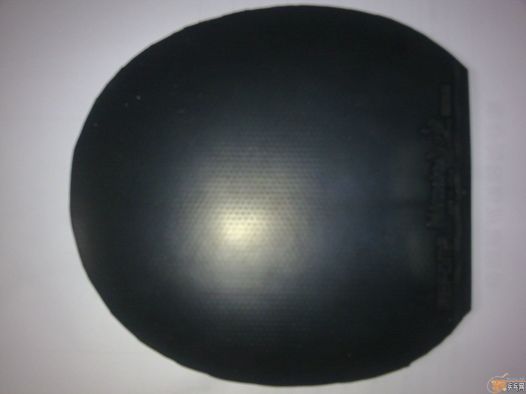 ��ֻ���1�εĺ�ɫflextra��9�µ�reforma