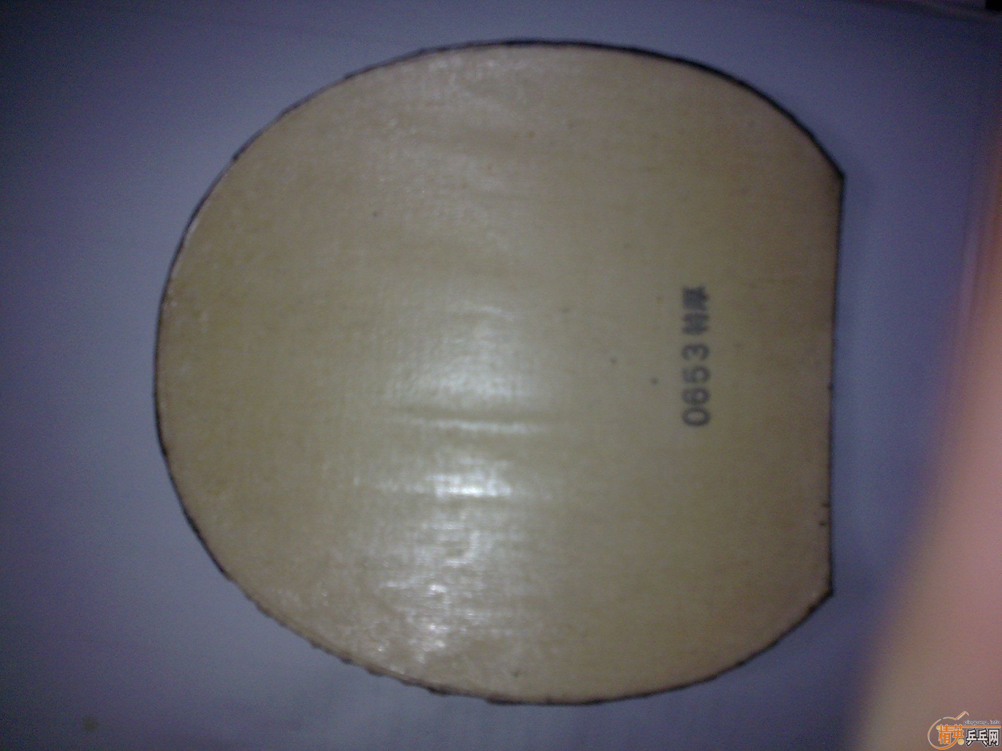 ��ֻ���1�εĺ�ɫflextra��9�µ�reforma