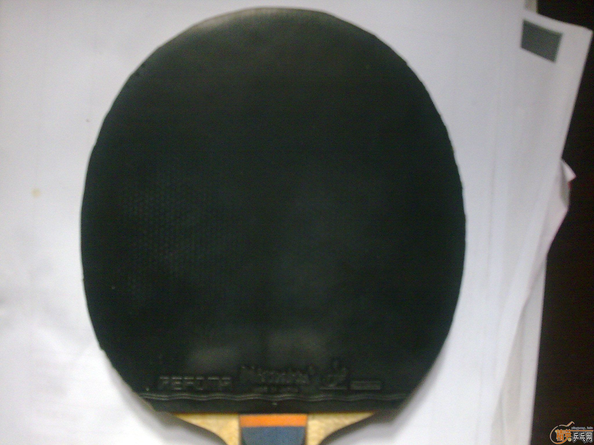 ��ֻ���1�εĺ�ɫflextra��9�µ�reforma